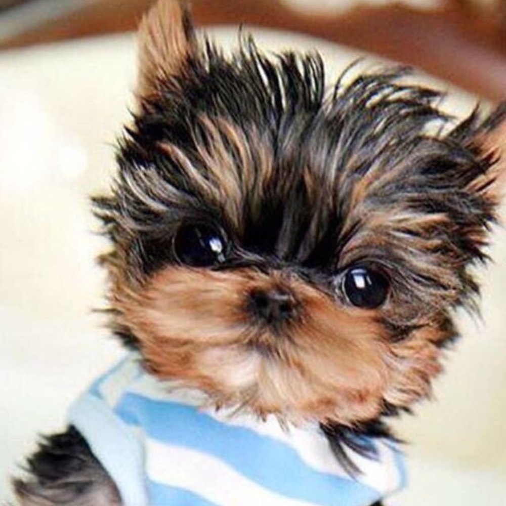 Meet your Posher, Mel